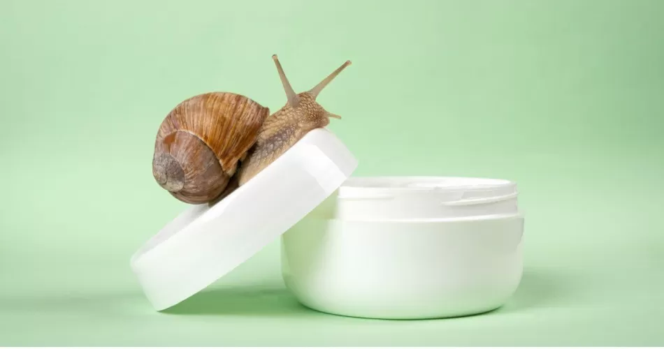 Snail Mucin